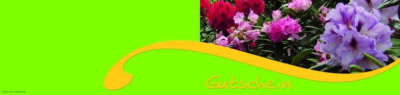 Rhododendronstrauß Gutschein