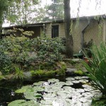 Blick zum Ferienhaus