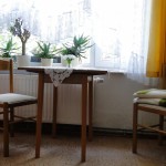 Schlaf-/Wohnzimmer Ferienwohnung