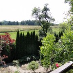 Blick vom Balkon (Ferienhaus)