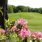Rhododendronpark Westerstede/Linswege 2014