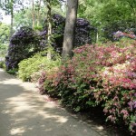 Rhododendronpark Bremen 2018