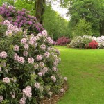 Rhododendronpark Bremen 2018